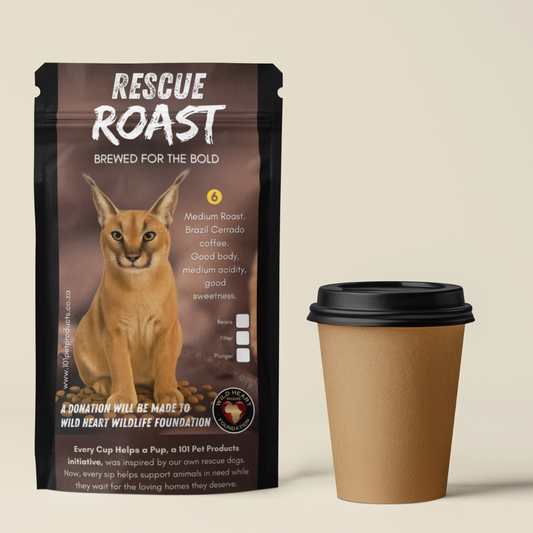 Caracal Whisper (Wild Heart Wildlife Foundation) #2