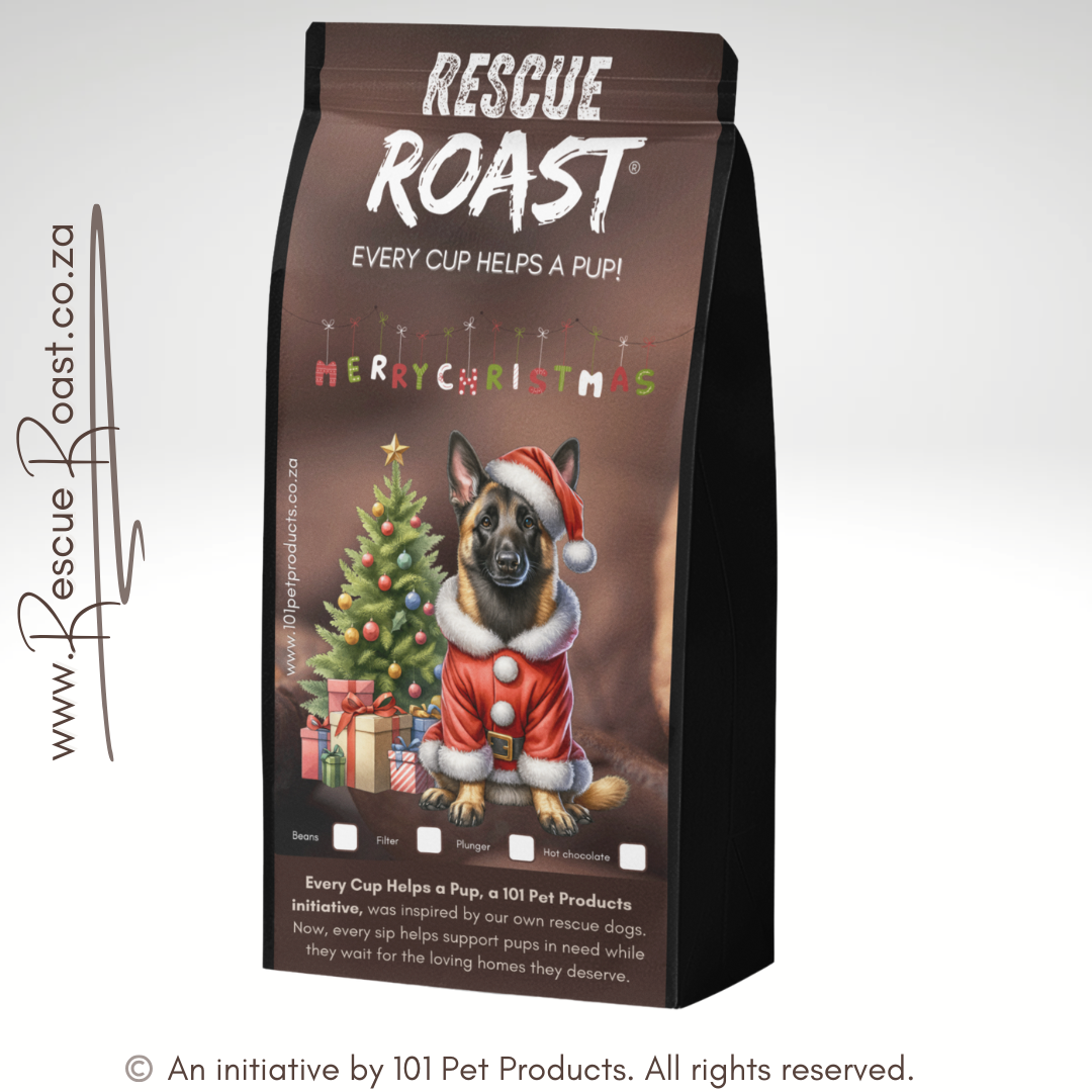 Belgian Malinois - Christmas Edition (A)