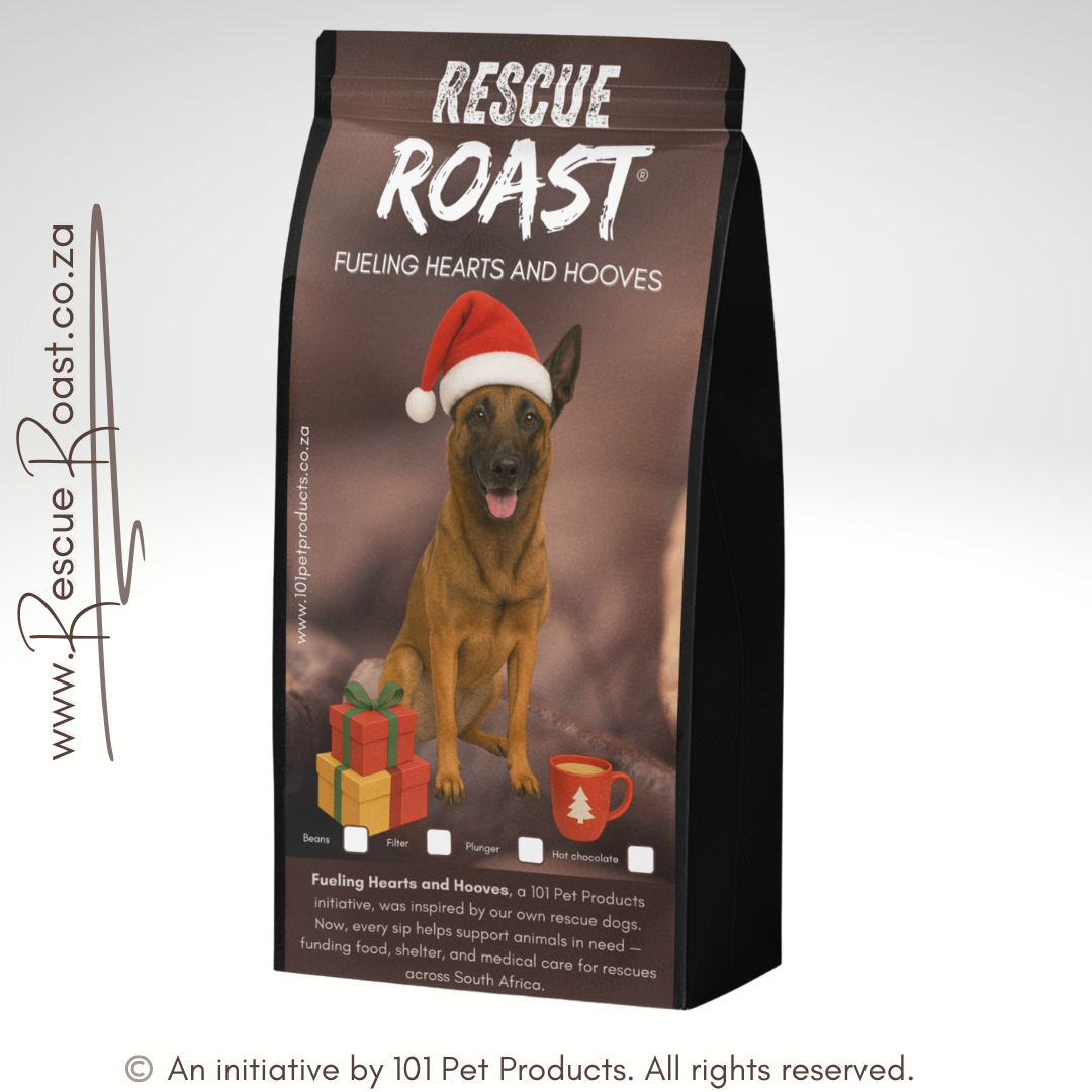 Belgian Malinois - Christmas Edition (B)