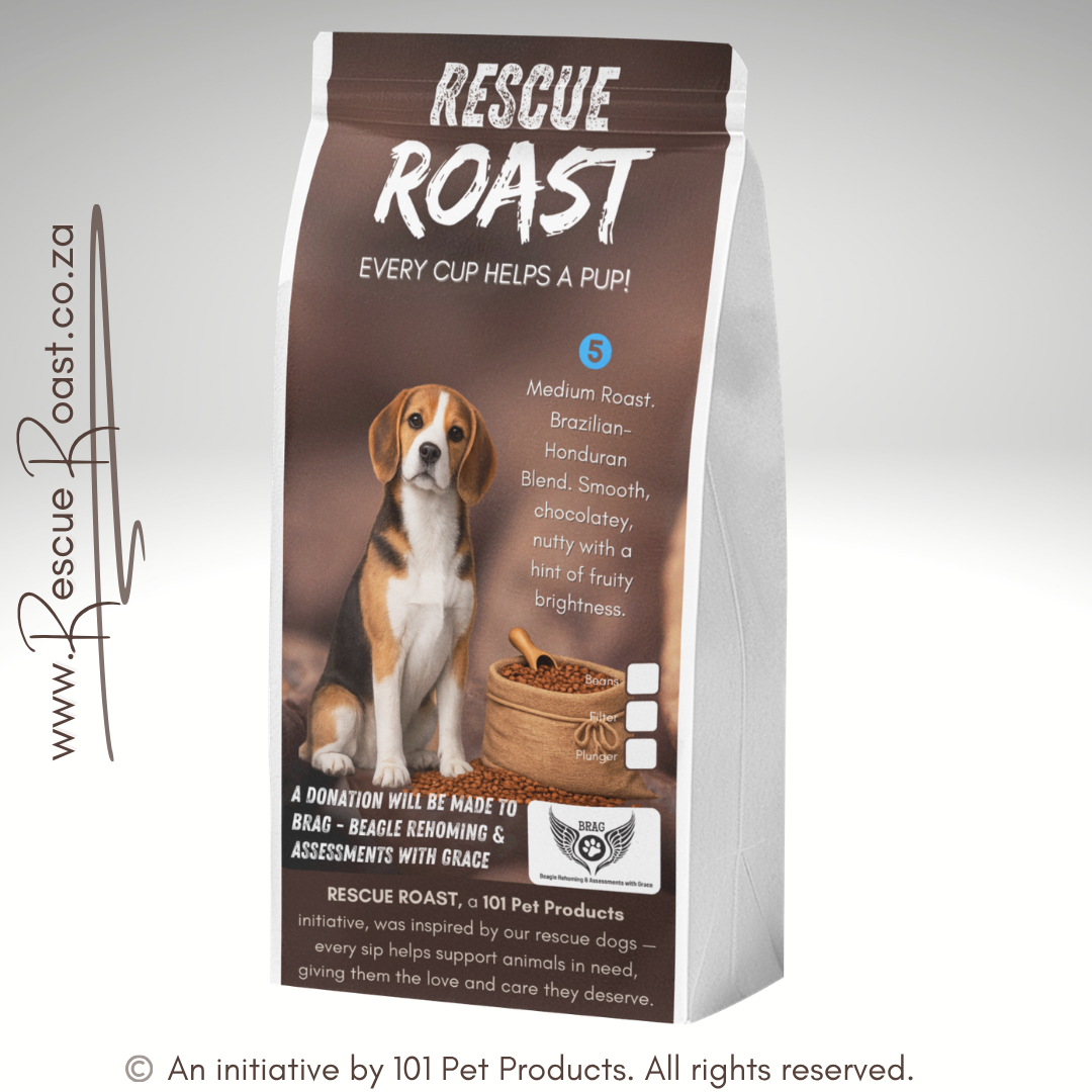 Everyday Hero (BRAG - Beagle Rehoming and Assessments with Grace) #4
