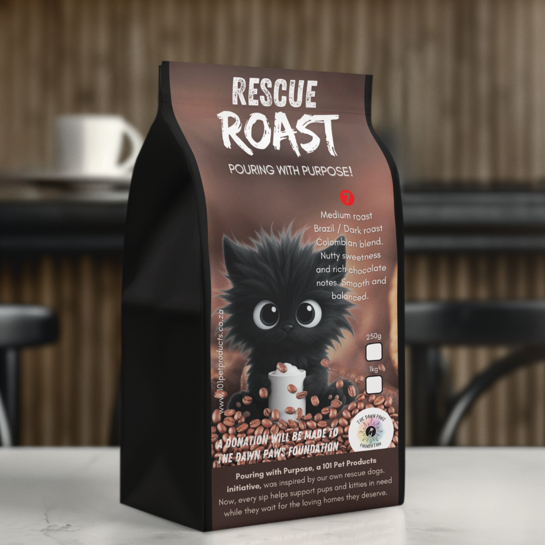 New Dawn Bold (The Dawn Paws Foundation) #3