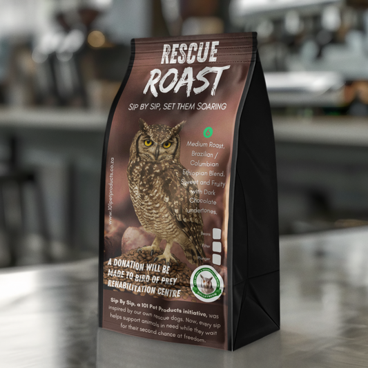 Skyward Dawn (Bird of Prey) #1