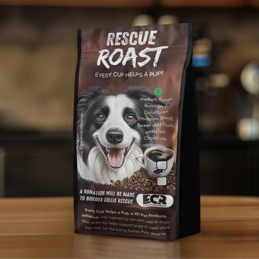Fast Fetch Roast (Border Collie Rescue) #1