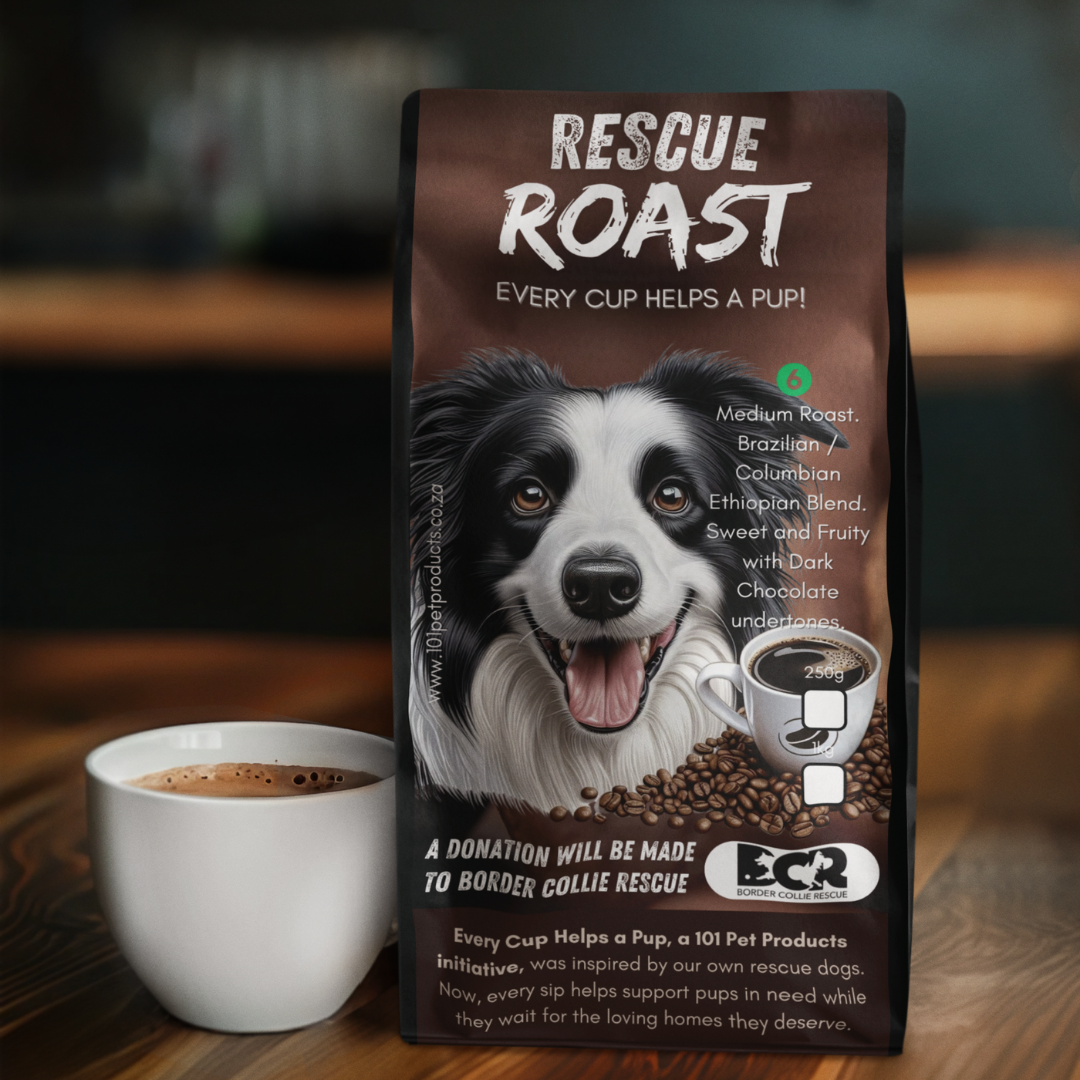Fast Fetch Roast (Border Collie Rescue) #1
