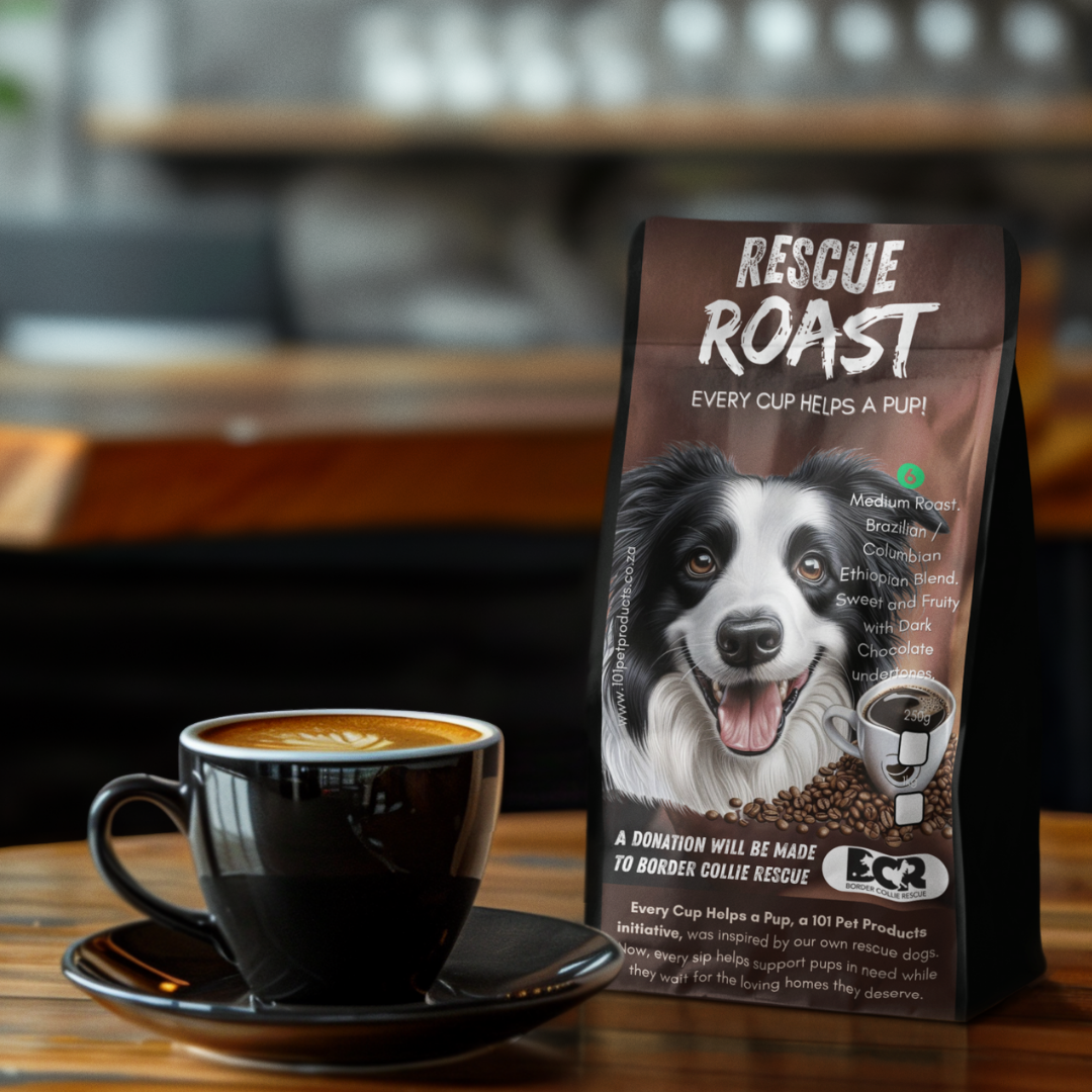 Fast Fetch Roast (Border Collie Rescue) #1