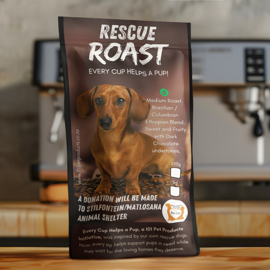 Hope on the Horizon (Stilfontein/Matlosana Animal Shelter) #1