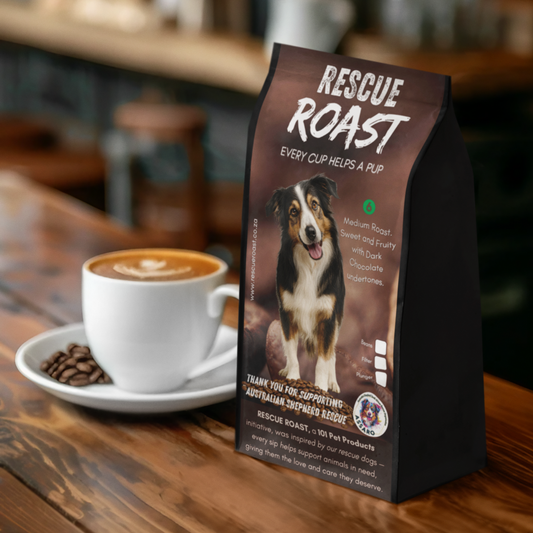 Blue Merle Morning (Australian Shepherd SA Rescue Org) #1