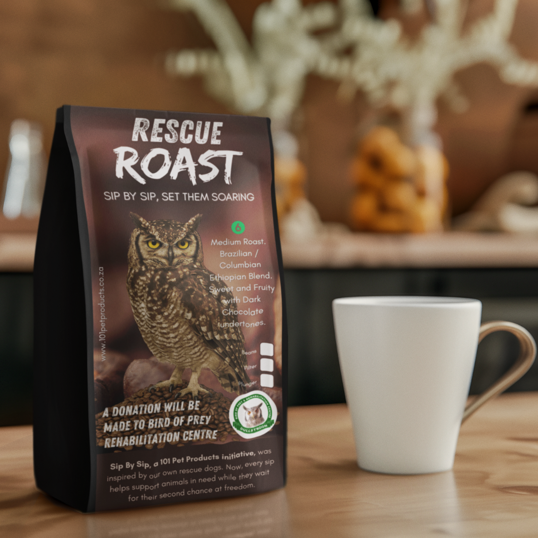 Skyward Dawn (Bird of Prey) #1