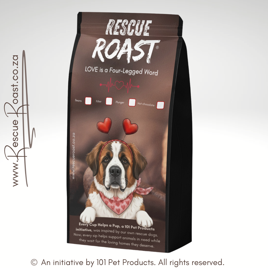 Saint Bernard - LOVE Edition 1