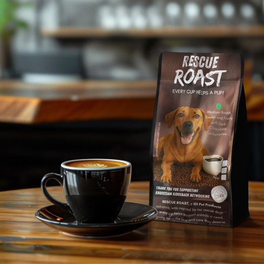 Ridgeback Rise (Rhodesian Ridgeback Networking SA) #1