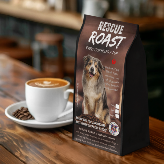 Outback Bold (Australian Shepherd SA Rescue Org) #3