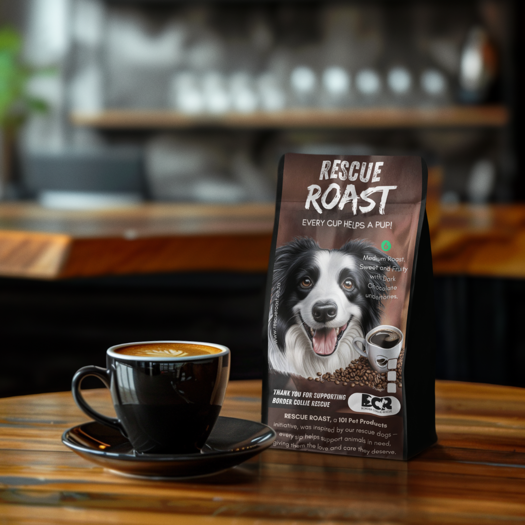 Fast Fetch Roast (Border Collie Rescue) #1
