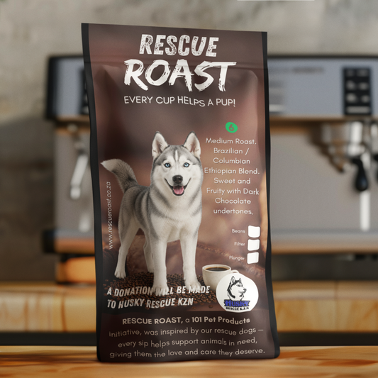 Northern Lights (Husky Rescue KZN) #1