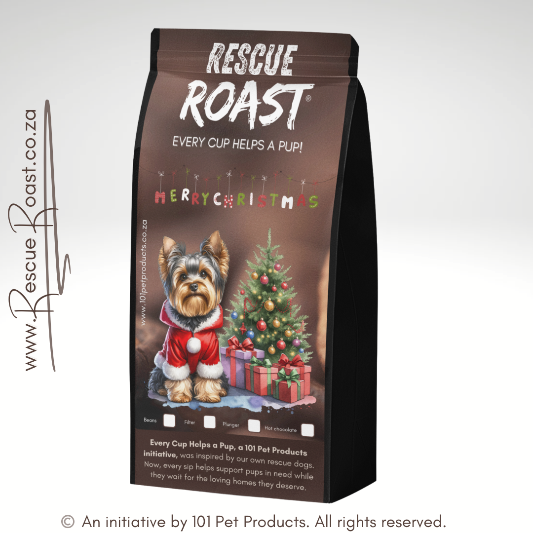 Yorkie - Christmas Edition (A)