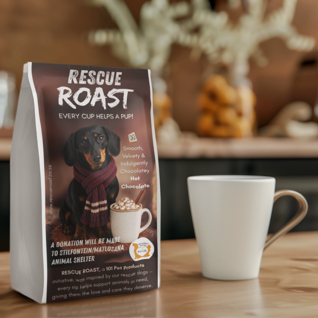 Hot Chocolate - Stilfontein/Matlosana Animal Shelter