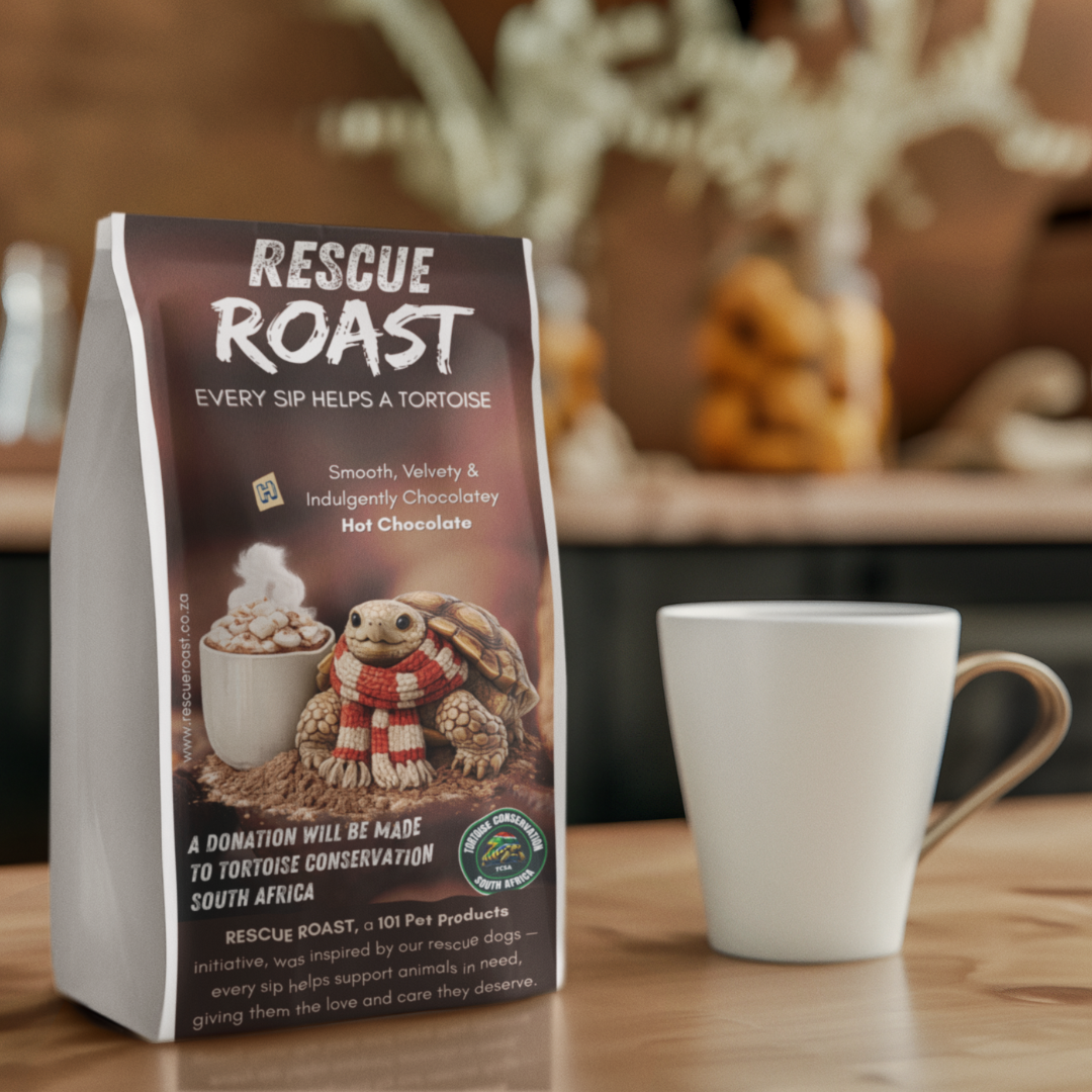 Hot Chocolate - Tortoise Conservation SA
