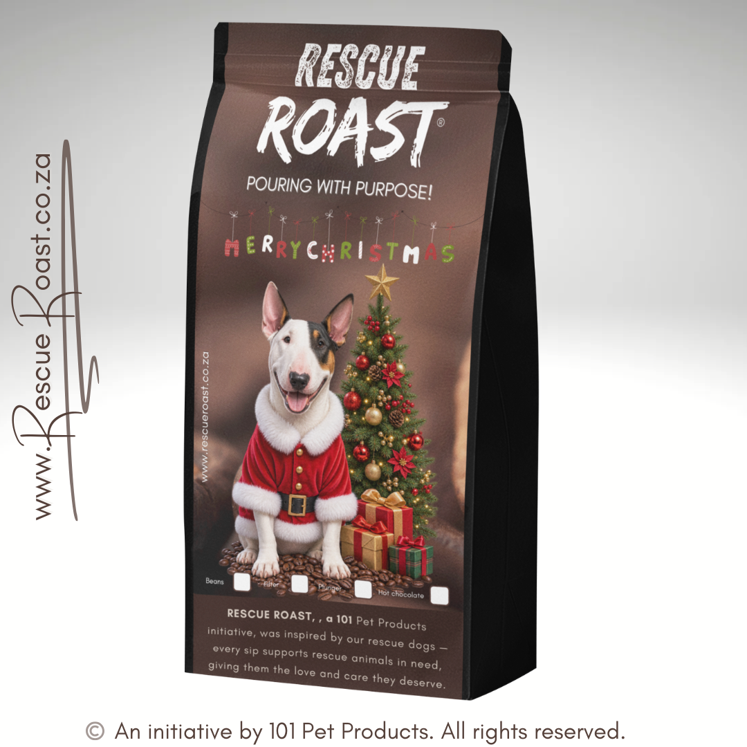 Bullterrier - Christmas Edition (A)