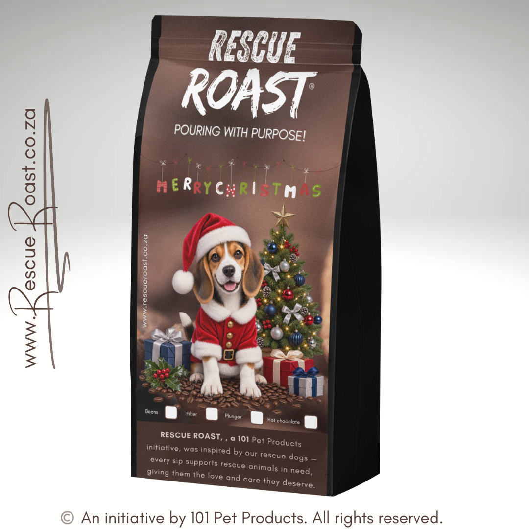 Beagle - Christmas Edition (A)
