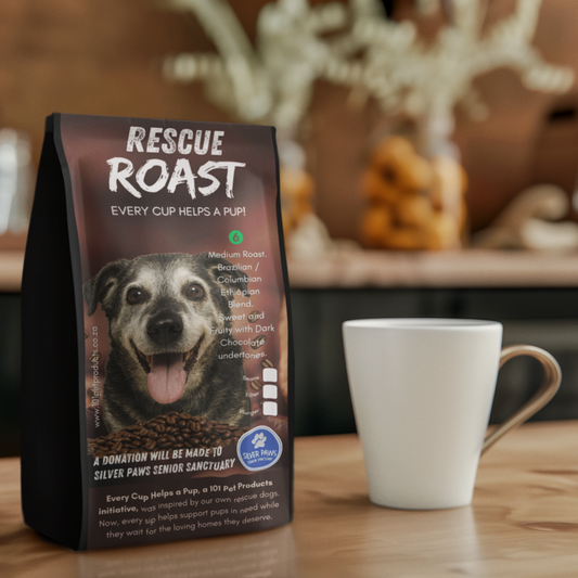 Gentle Grey Roast (Silver Paws Senior Sanctuary) #1