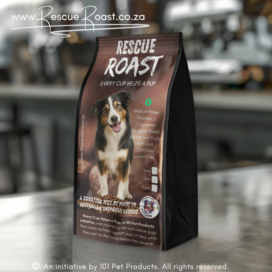 Blue Merle Morning (Australian Shepherd SA Rescue Org) #1