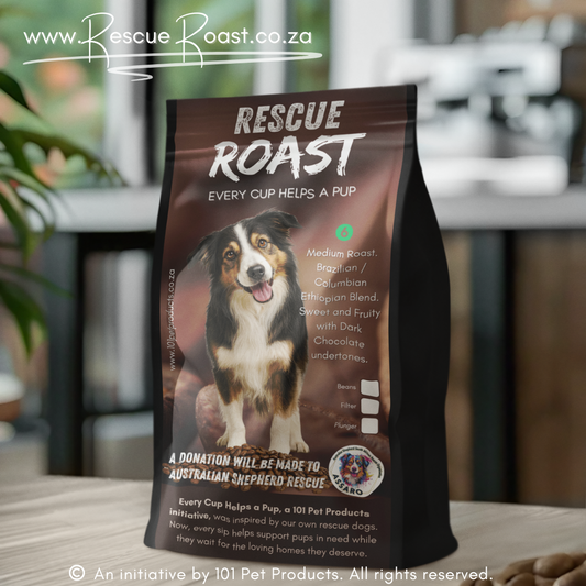 Blue Merle Morning (Australian Shepherd SA Rescue Org) #1