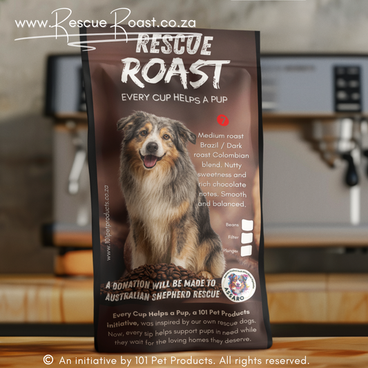 Outback Bold (Australian Shepherd SA Rescue Org) #3