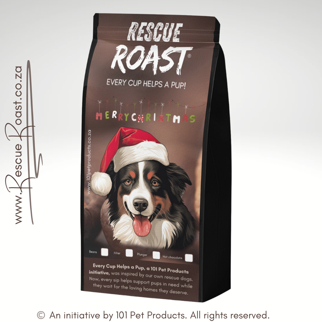 Border Collie- Christmas Edition (D)