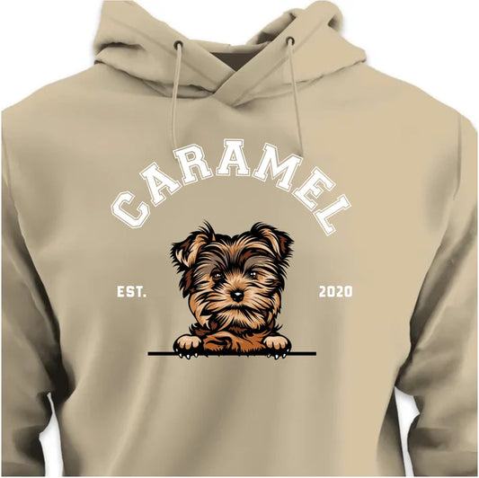 College HOODIE (Unisex)