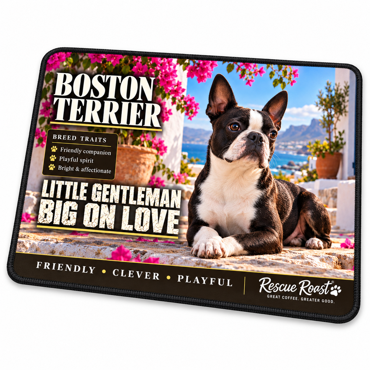 Rescue Roast® Boston Terrier mousepad — Little Gentleman, Big on Love. A Boston Terrier reclines with crossed front paws on a whitewashed stoep beneath pink bougainvillea, with sea and mountains beyond.