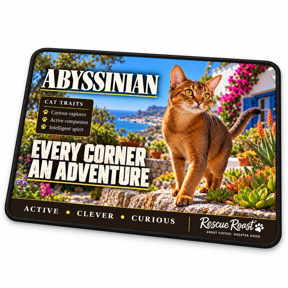 Rescue Roast Abyssinian mousepad: An Abyssinian steps along a stone wall in a colourful coastal cottage garden, framed by succulents and pink flowers. Printed slogan: Every Corner, an Adventure.