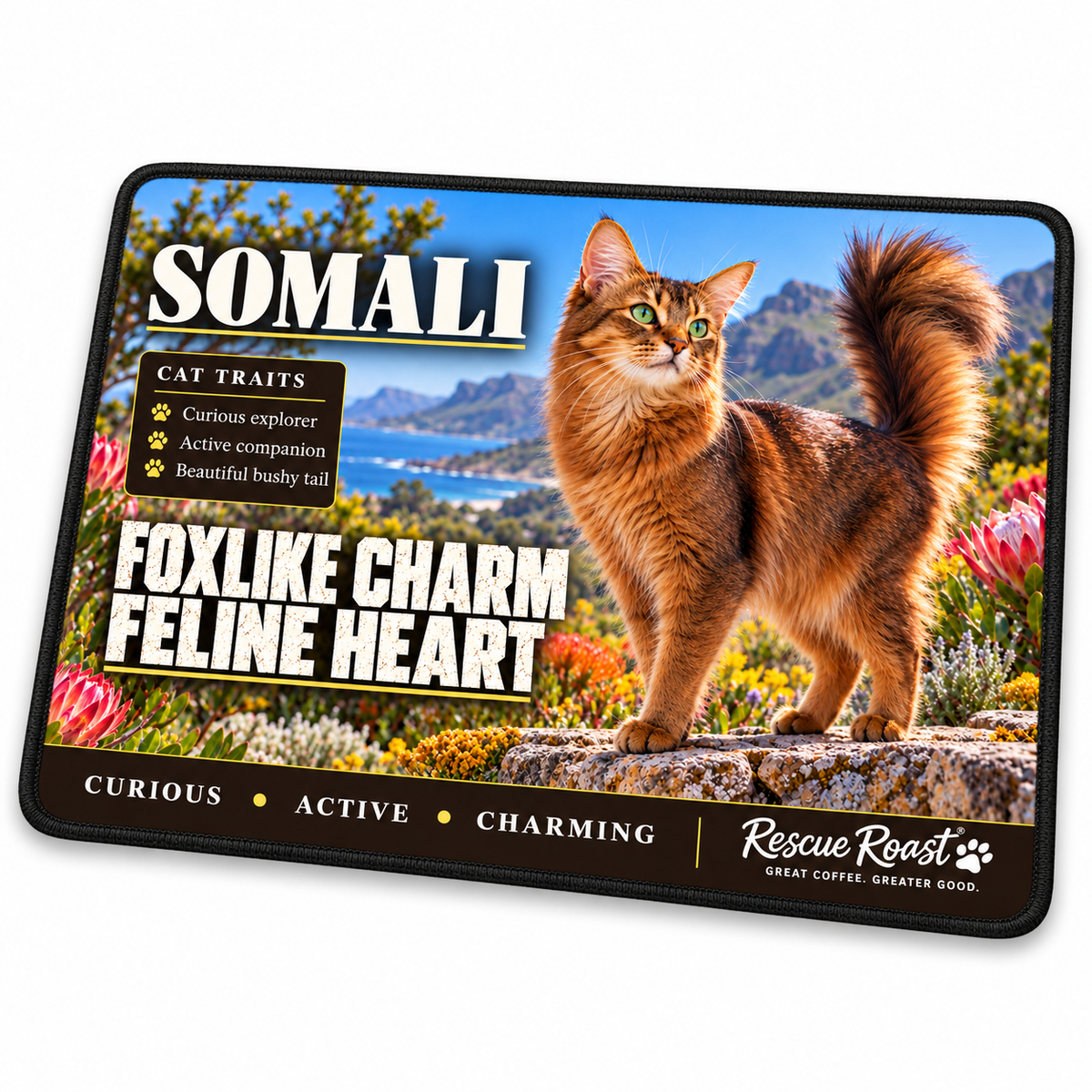 Rescue Roast Somali mousepad: A ruddy Somali with a raised bushy tail stands on a stone wall among proteas, overlooking a sunny mountain coastline. Printed slogan: Foxlike Charm, Feline Heart.