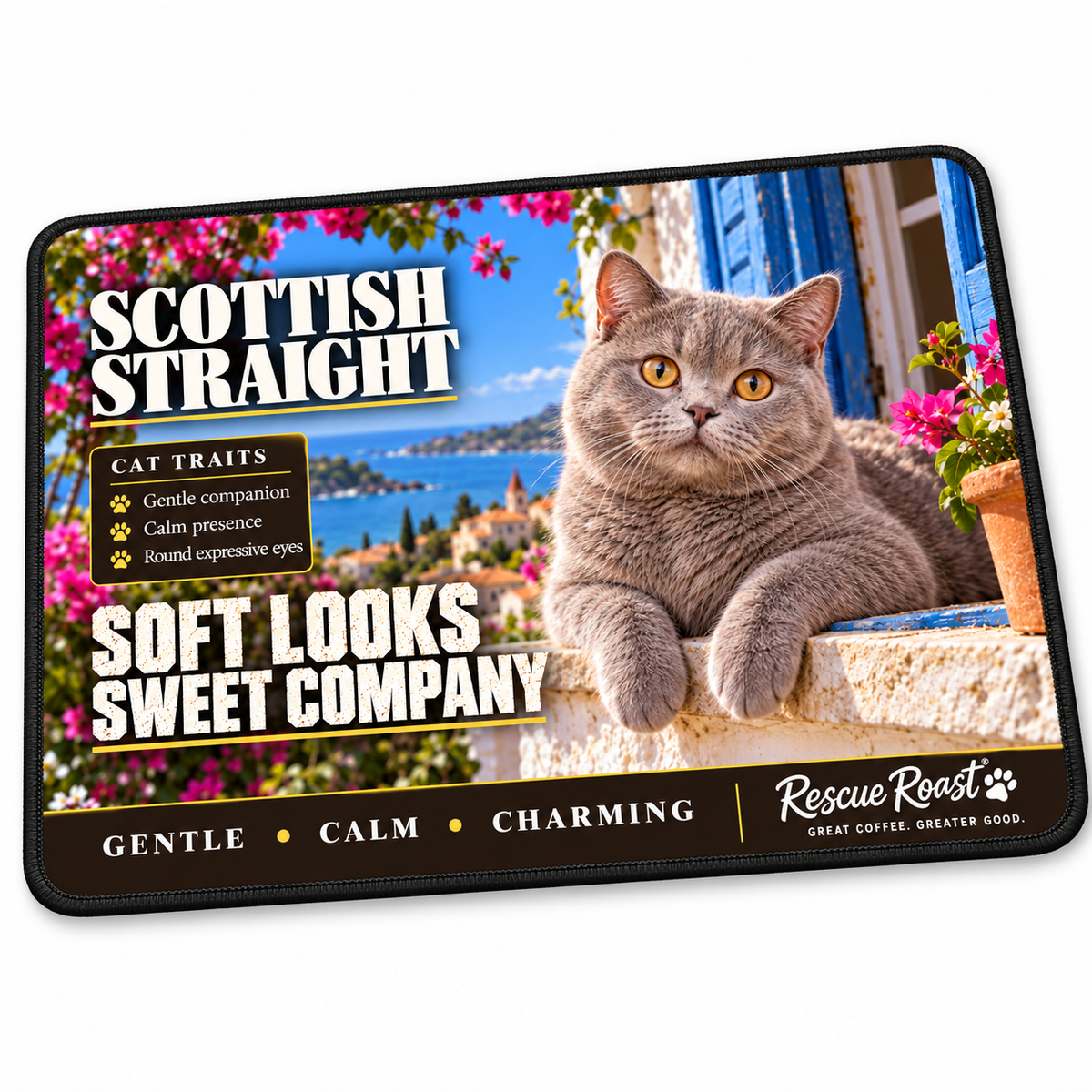 Rescue Roast Scottish Straight mousepad: A grey Scottish Straight with round amber eyes lounges on a blue-shuttered windowsill framed by flowers, with a coastal village beyond. Printed slogan: Soft Looks, Sweet Company.