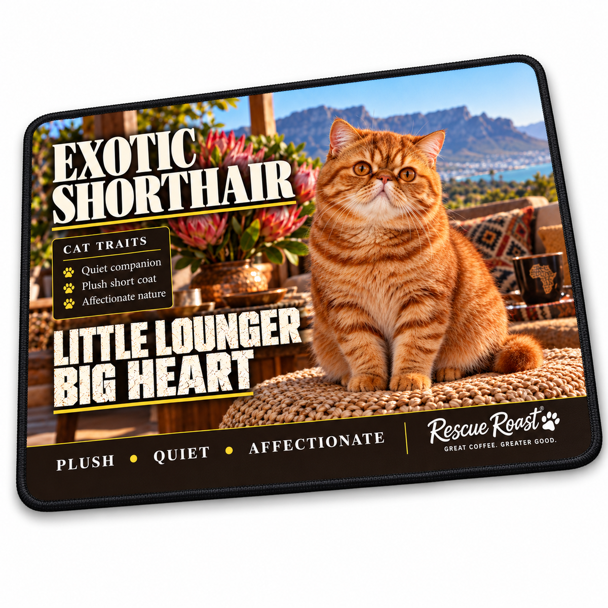 Rescue Roast Exotic Shorthair mousepad: A ginger Exotic Shorthair sits on a woven cushion on a sunny veranda beside proteas and a coffee mug, with mountains and sea beyond. Printed slogan: Little Lounger, Big Heart.