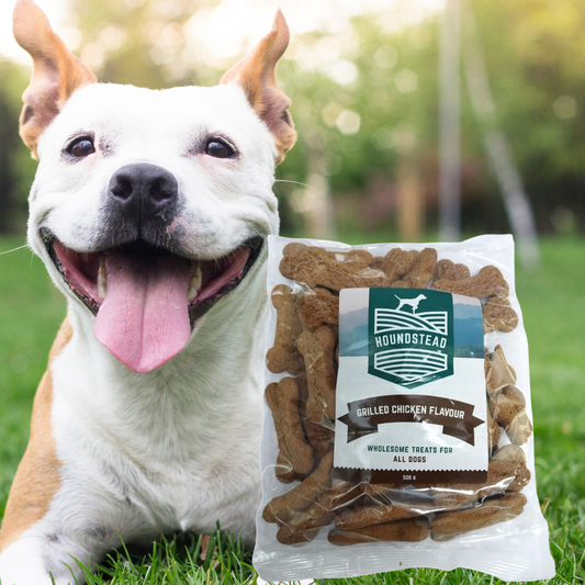 Houndstead Grilled Chicken Biscuits 500g