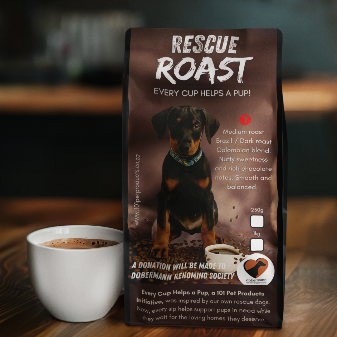 Guardian’s Bold Brew (Dobermann Rehoming Society) #3