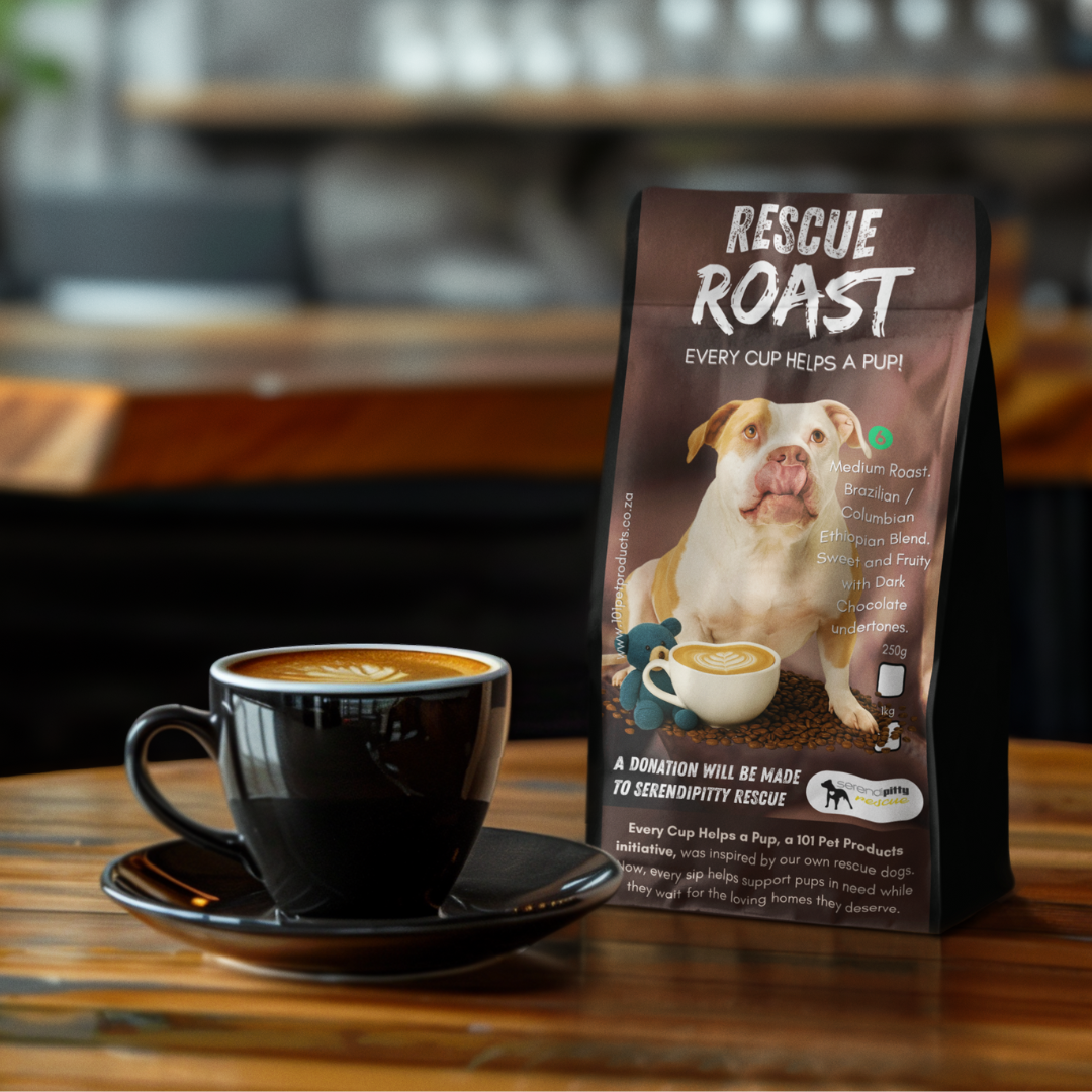 Paws of Destiny (Serendipitty Rescue) #1