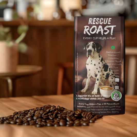 Homestead Harmony (Orkney and Klerksdorp Animal Shelter) #1