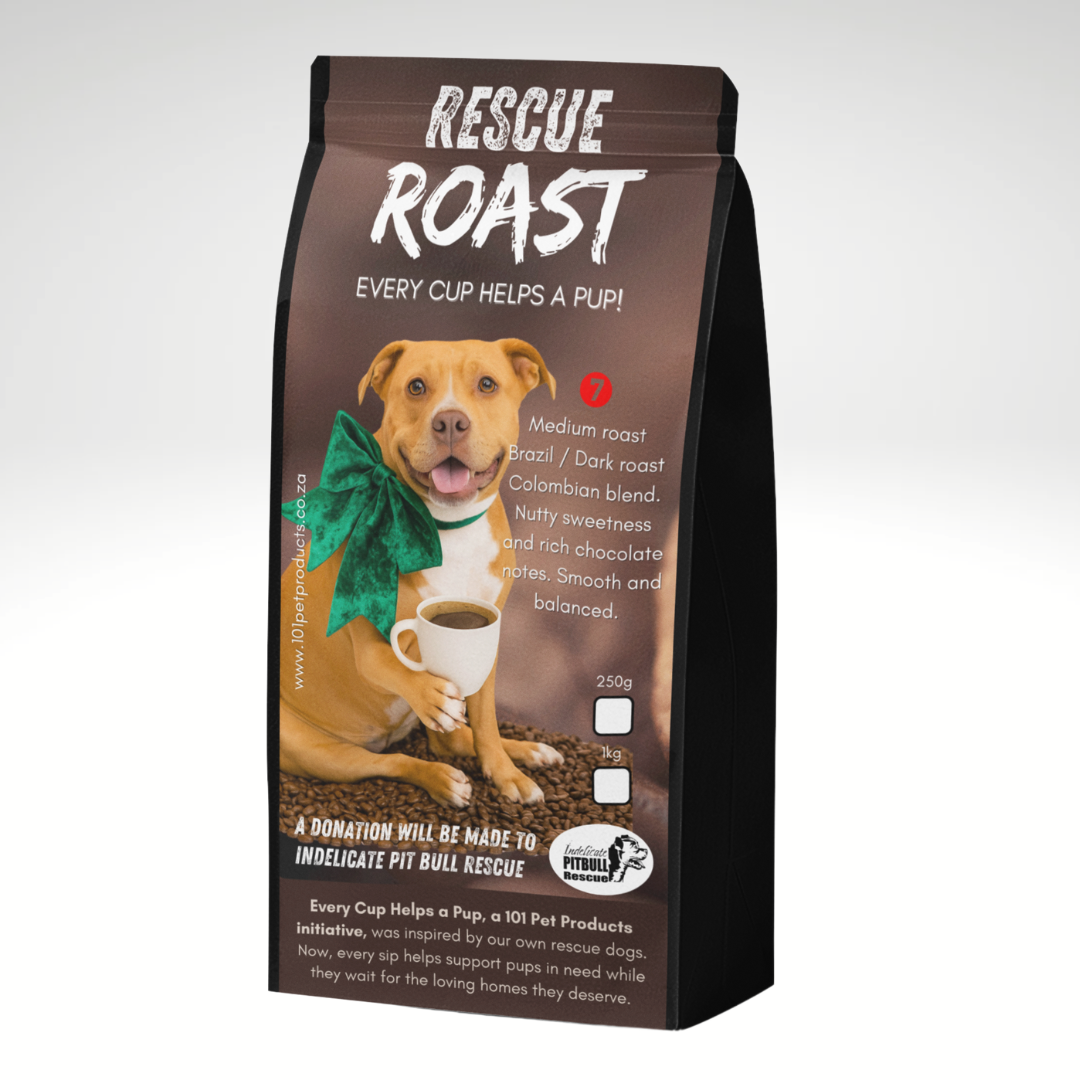 Smoky and a tad unpredictable (Indelicate Pitbull Rescue) #3