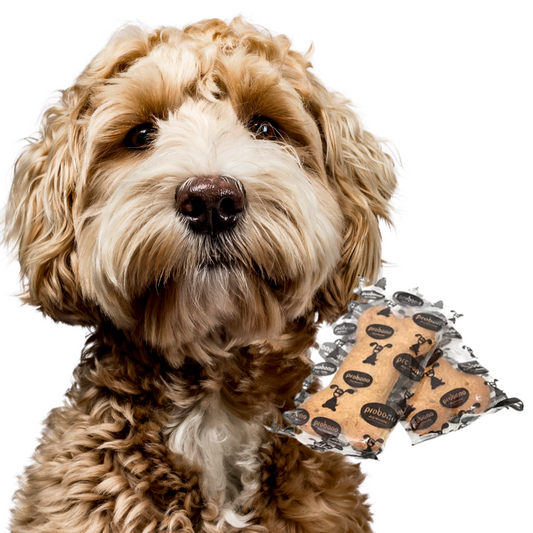 Pro Bono Biscuits 45g (24's)