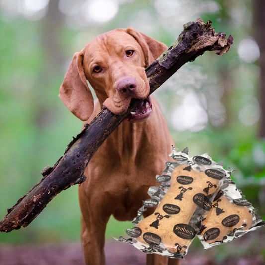 Pro Bono Biscuits 80g (24's)