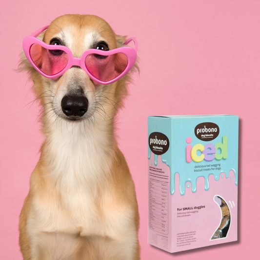 Pro Bono Iced Biscuits for Small Dogs 1kg
