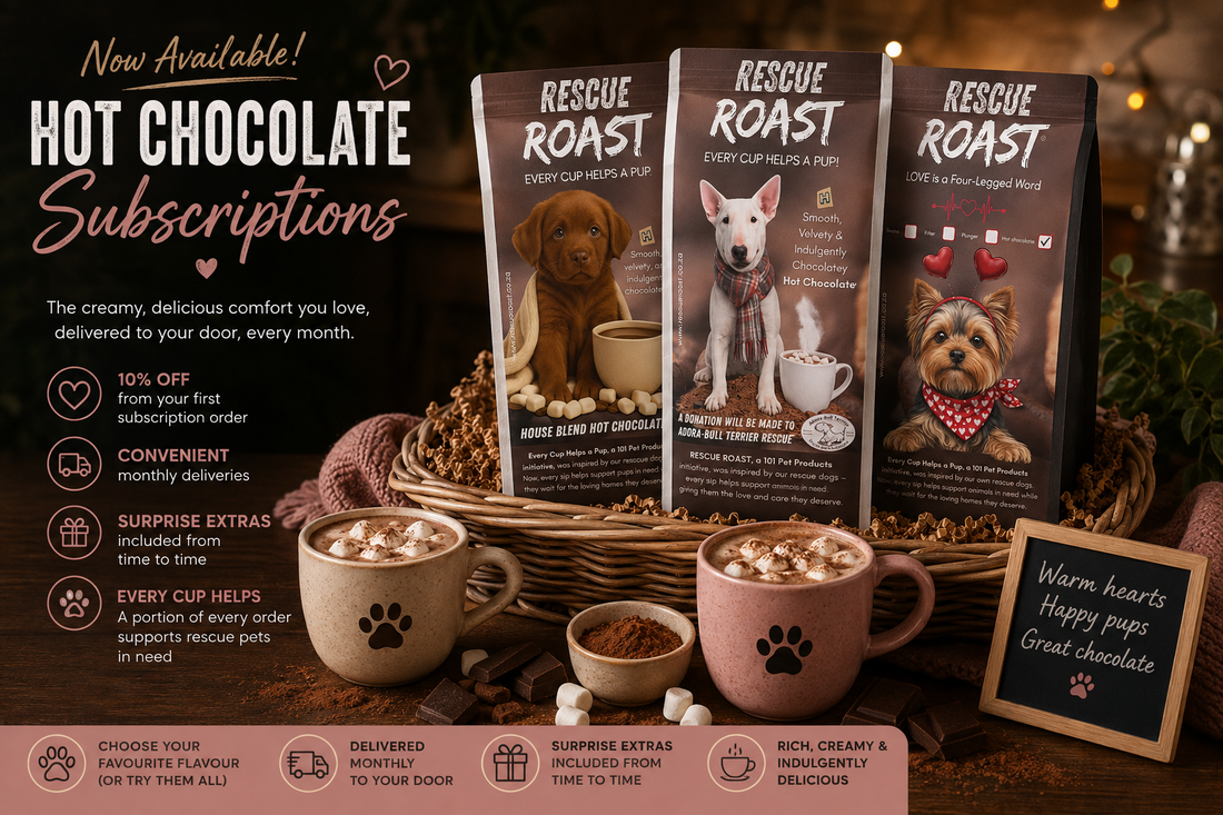 Hot Chocolate Subscription : Subscribe and Save