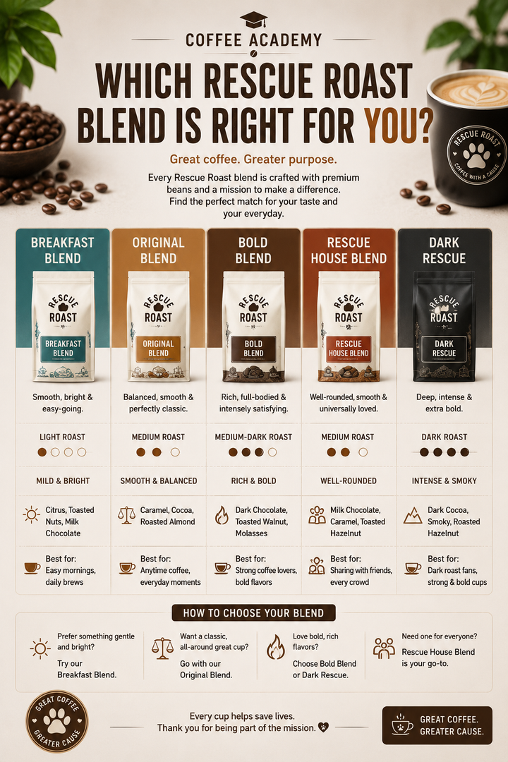 Which Blend Is Right for You?