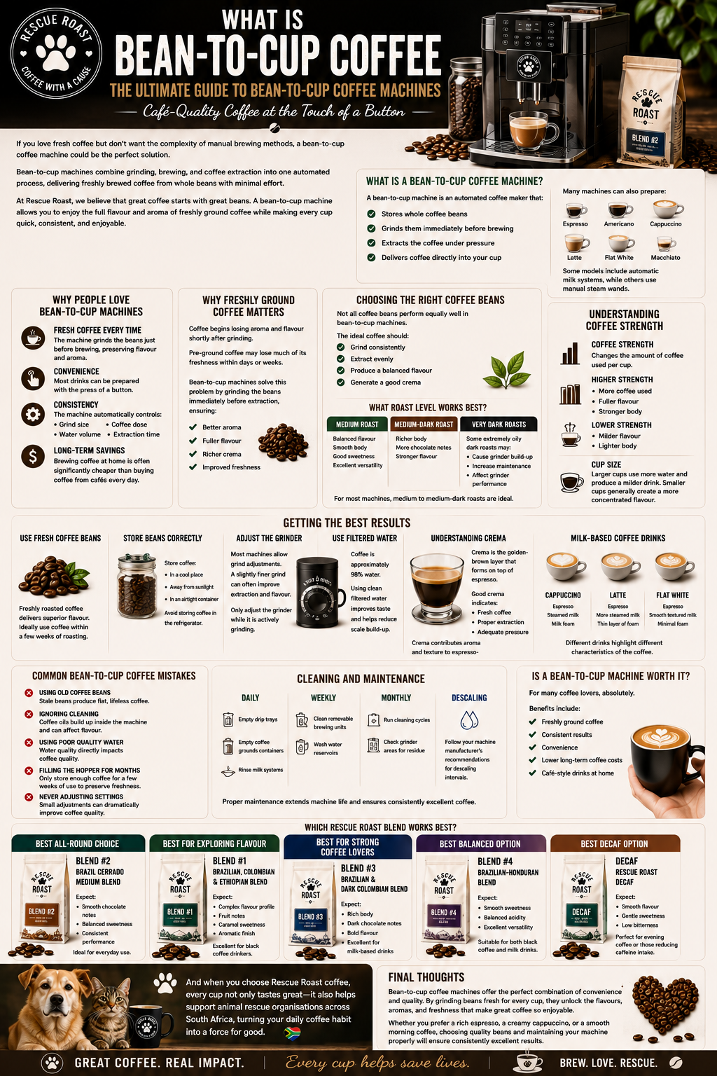 Coffee Academy : What is BEAN to CUP Coffee
