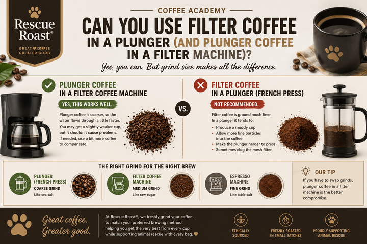 Can You Use Filter Coffee in a Plunger—and Plunger Coffee in a Filter Machine?