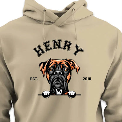 College HOODIE (Unisex)