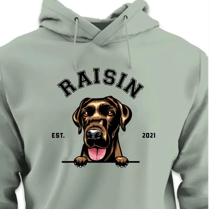 College HOODIE (Unisex)