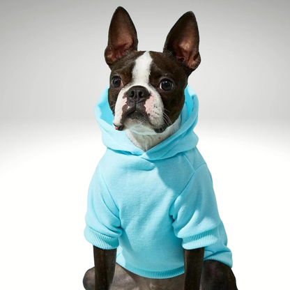 Sponsor a Warm Dog Jersey