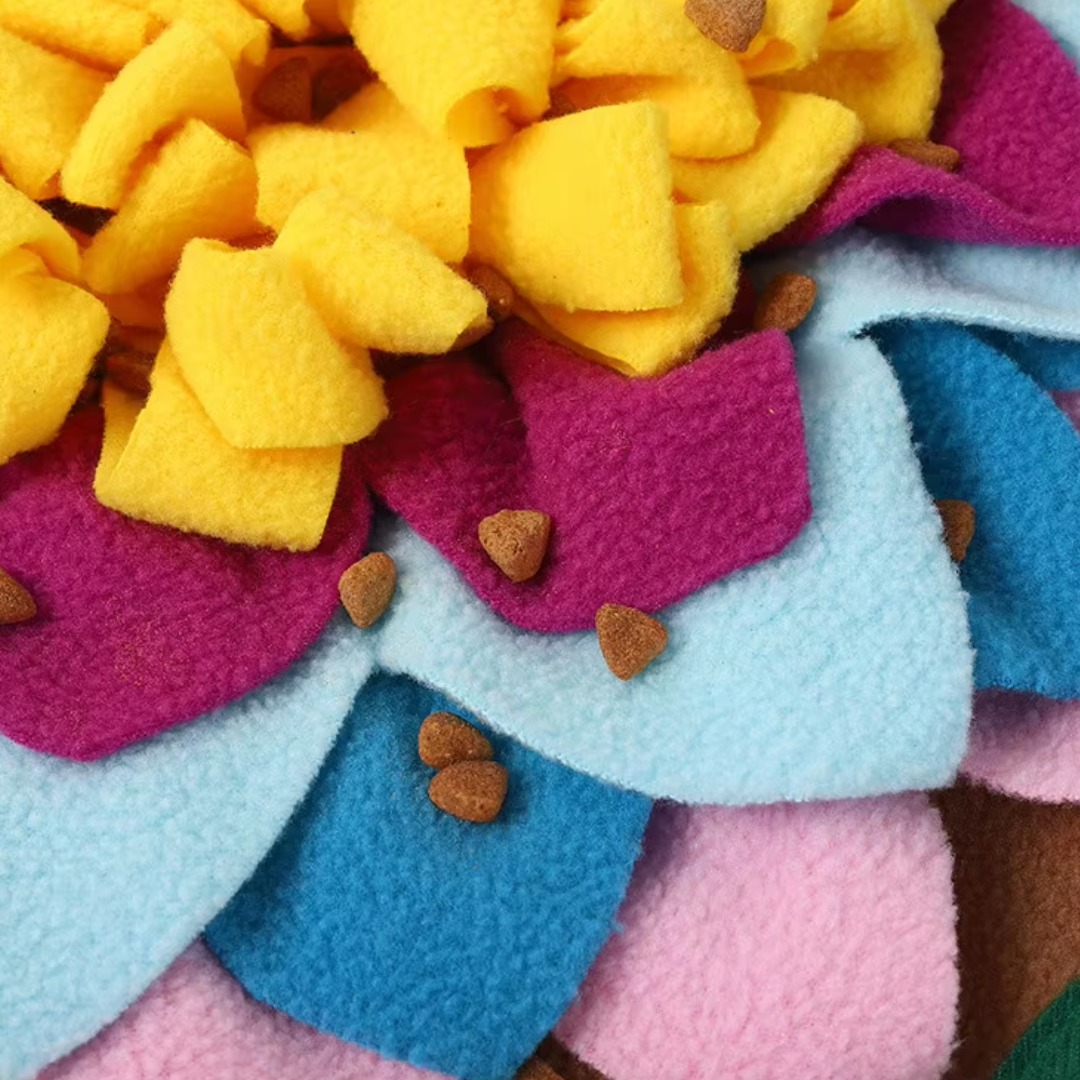 Rainbow Snuffle Mat with Moisty Mini Bones - For Fun and Enrichment