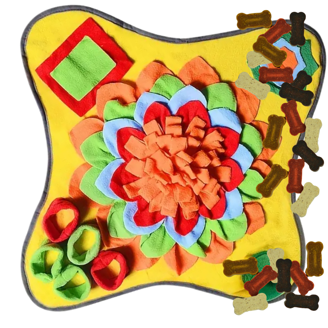 Rainbow Snuffle Mat with Moisty Mini Bones - For Fun and Enrichment
